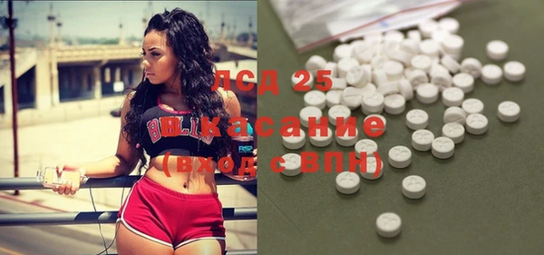 прущие грибы Балабаново