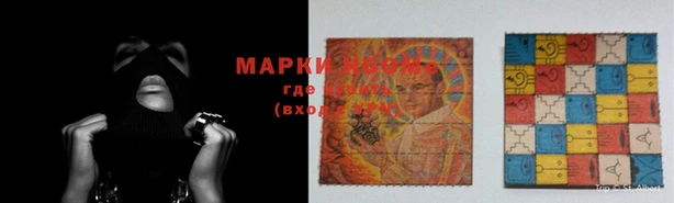 прущие грибы Балабаново