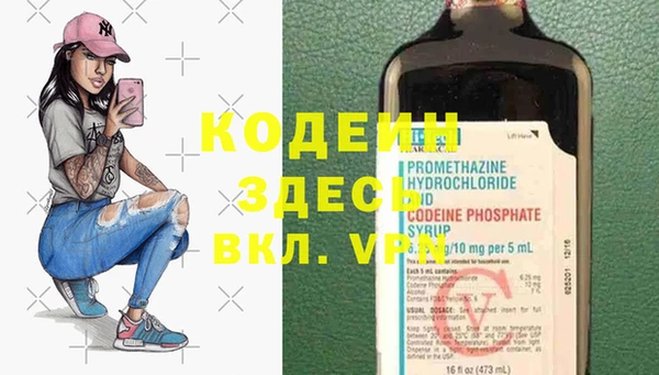прущие грибы Балабаново