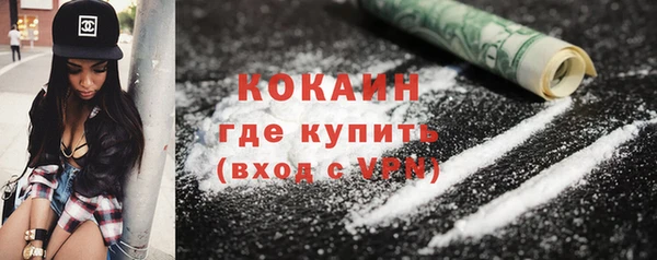 прущие грибы Балабаново