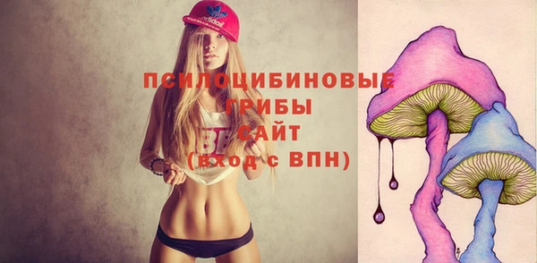 а пвп мука Баксан