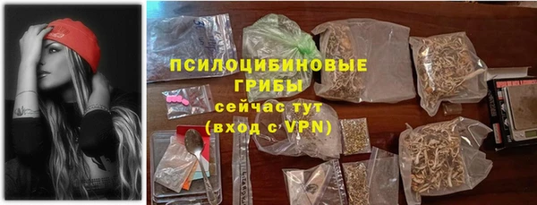 прущие грибы Балабаново