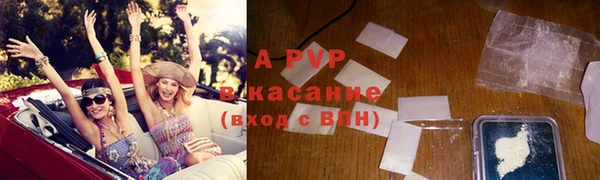 прущие грибы Балабаново